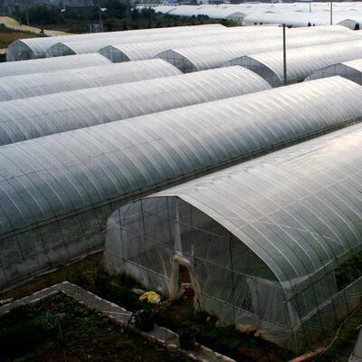 农作保连物种植棚单体大棚外WPH遮阳温简易养殖膜薄栋大棚温室大