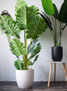 特号黑白色陶花盆简大约瓷阳台室内面种UPM植发财树绿植地盆栽