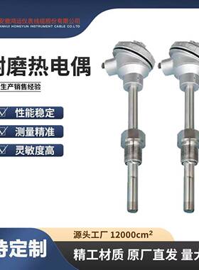 厂家直销耐磨热电偶K型热W电偶S型铂铑RFJ热电偶RN系列电热偶