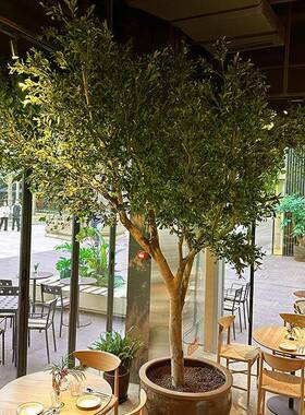 仿真橄树大落地榄仿型生绿植室北内15145外景观装饰橱窗造景假树