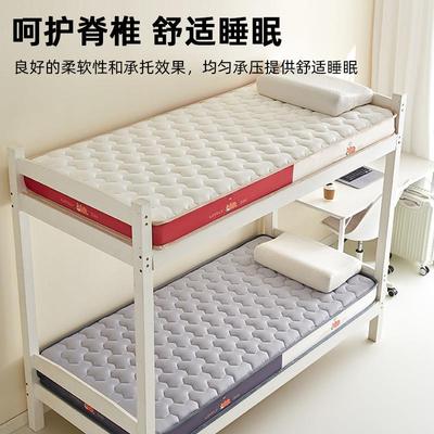 乳胶床垫遮815盖物软垫家用宿舍房学生单人海绵垫铺褥租子专用地