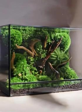 生态玻瓶苔藓绿盆栽水草4032鱼璃缸装饰造林景摆件森微景观玻植璃