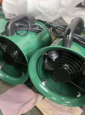 Hr 8寸 110V出口贸易绿色便携车间大风通风换气手提风机轴流通风