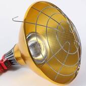 保温灯罩猪用养殖取暖宠灯养灯育雏兽TRR用加热物控温猪场专用保