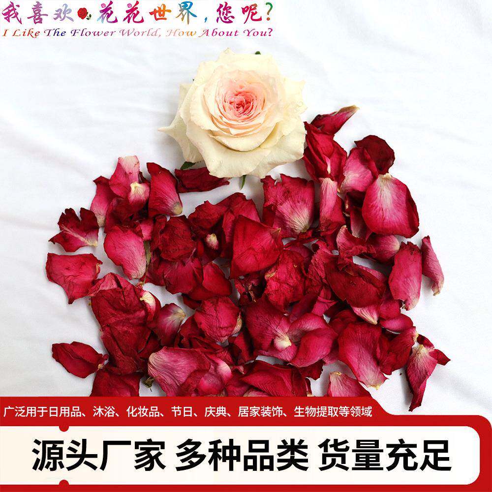 1公厂家直销澡玫瑰瓣干003花泡花沐浴花瓣云南玫瑰斤花瓣干花