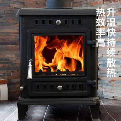 北内欧室铸ECB50铁真火壁炉木柴取暖炉别家墅用木炉民宿家用节能