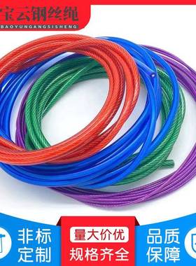 耐7*7涂钢塑不锈钢丝绳1.2包塑1.4CQV04包尼龙钢丝绳P3A尼龙磨