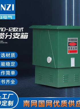 DFW10-12欧式电缆分支箱高压转接箱对接箱环网柜充气柜户外
