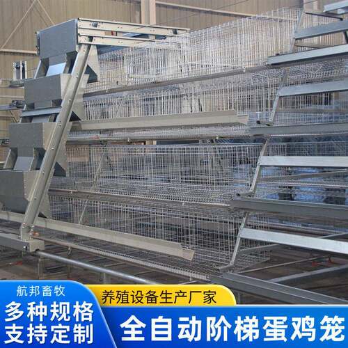 全自动清粪捡蛋蛋鸡笼养殖场鸡舍用自动化养鸡阶梯式蛋鸡笼设备