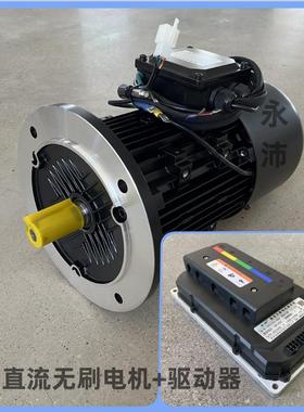 YP90 24V YP100 48V直流电机 机械设备电机 无刷直流电机