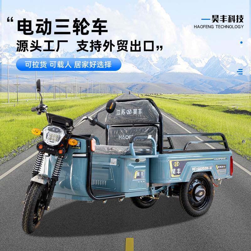 电动三轮车休闲代步接送短途运输家用小车厢小型电瓶车出口三蹦子