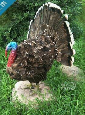 XPK仿真火摆鸡圣诞装饰品火鸡道具羽毛工艺厅品酒餐装饰店件创意