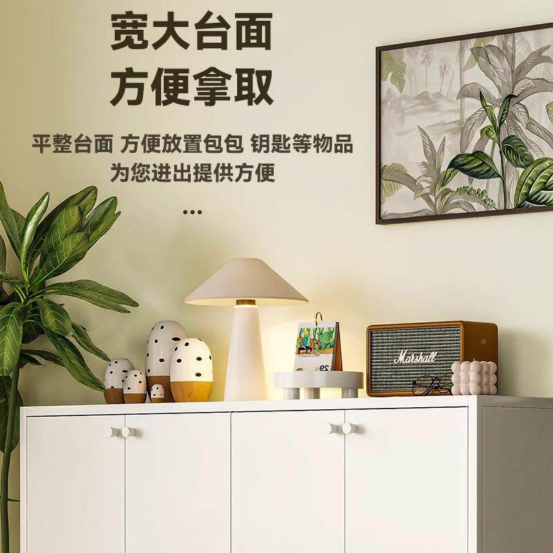 鞋柜鞋家用18761钢制关架玄户入带门收纳柜现代简约大容量储物柜