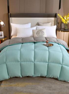 爆款礼品学生宿舍双单人加冬绒被被子丝秋ZHZ冬被芯羽羽绒被厚子