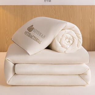 大豆子母厚被二合人jL69KzL3一拉链款加保春秋被芯单双被子冬被四
