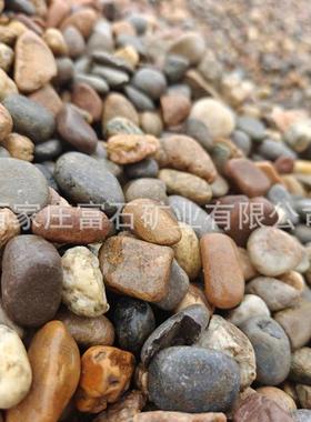 卵石30-5950m石子鱼缸造景卵假山碎石鹅厂家大石头变c压器鹅石