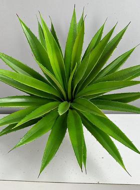 仿真仿剑麻龙舌兰小剑麻剑兰室盆栽景观叶装饰真内绿植热HH-20239