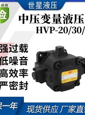 中低压HVPF-30-D HVP-40F/A3 30F 20F/A1 A2变量叶片油泵小型压机