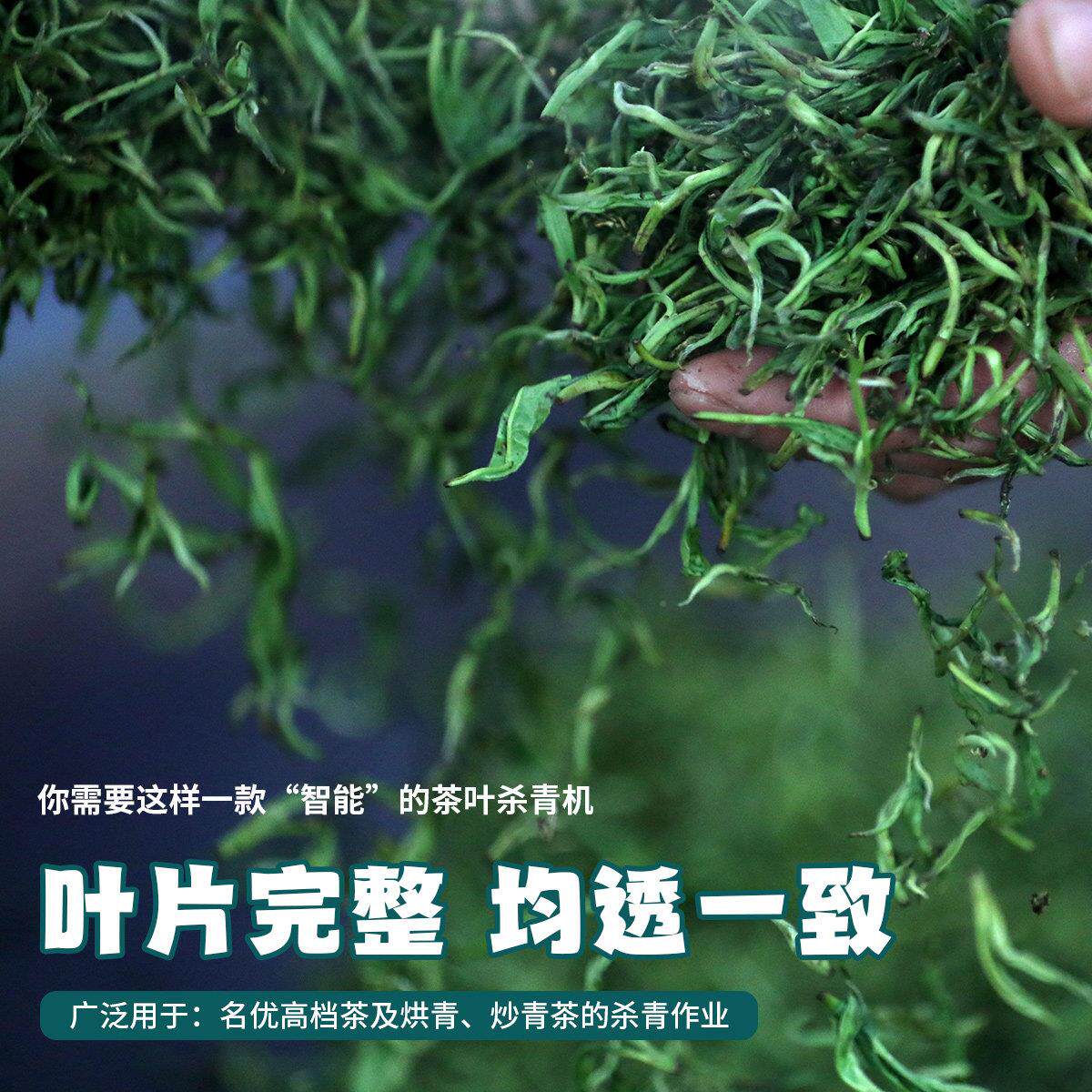 茶茶叶杀6CST-65青机全自动燃炒干机滚连续式茶叶气筒炒机朝天锅