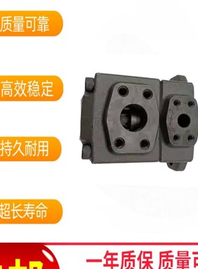 PV2R1-12-FRAB-10注塑机油泵PV2R1-12 14 17-FRAAPV2R1-8-FRAL-10