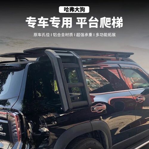 哈弗大狗一代二代车顶行李架平台专用车顶平台爬梯侧帐装备箱改装