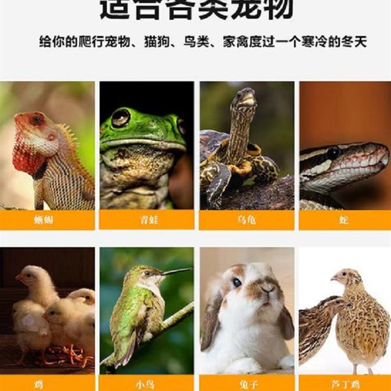鹦鹉玄风保温灯芦丁鸡鸟用仓鼠猫狗宠物无光陶瓷防烫防咬取暖设备图片
