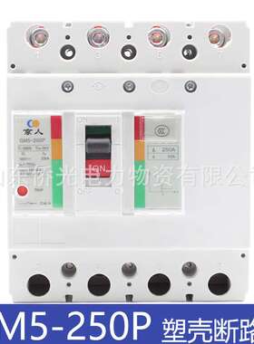北京人民GM5-250P Y2BY1D 200A250A光伏直流塑壳断路器DC1000V