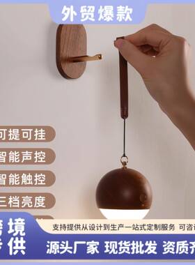 实木语音声控灯悬挂手提夜灯睡眠进门入户壁灯触控LED智能床头灯