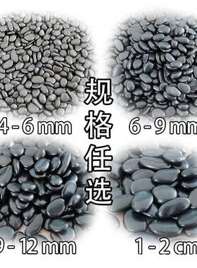 精黑色鹅卵路石黑116抛石子庭院铺铺地黑石头造景装园饰艺大小鹅