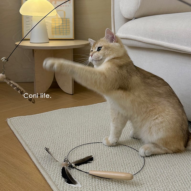 Coni life旋转羽毛逗猫棒木制把手长杆幼猫耐咬自嗨解闷猫咪玩具