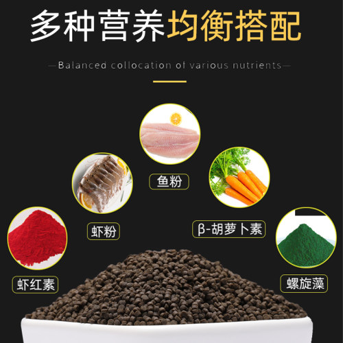 鱼食六角恐龙鱼饲料六角龙娃娃鱼东方蝾螈六六下沉底栖鱼专用鱼粮