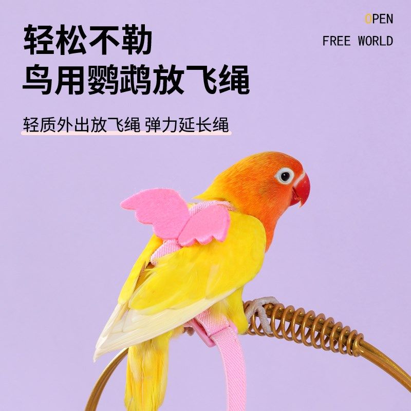 遛鹦鹉牵引绳外出放飞绳背带超轻小太阳玄凤小鸟专用遛鸟神器玩具,宠物/宠物食品及用品,鸟用放飞绳,淘宝优惠券,粉丝福利购,淘宝优惠卷