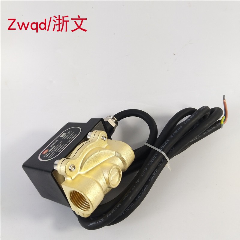 防爆电磁阀2W160-15Z二通铜体防爆疏水阀气阀油阀4分DN15 G1/2