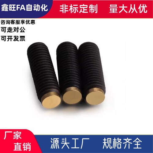 直杆型圆柱头内六角挡块止动螺钉TDA31-M10M12-L50L60L80L16L20现
