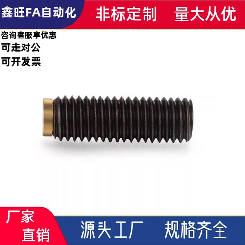 圆柱头挡块止动螺钉TDA21-M3/4/5/6-L5/6/8/10/12/16/20/25/30/40
