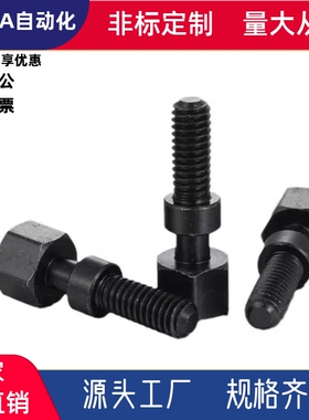 调整螺栓PAY31-M6M8-L75L80L20L25L30L35L40L45L50L55L60L65L70