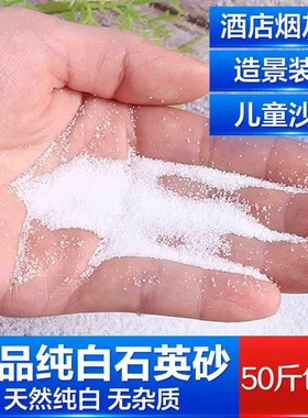 石英砂白色细沙枯山水造景装饰酒店垃圾桶灭烟儿童沙池天然白沙子