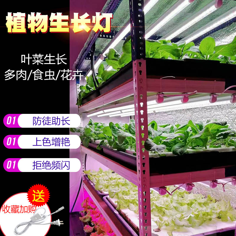 led植物生长灯红蓝白蔬菜工厂大棚育苗室内水培叶菜全光谱补光灯