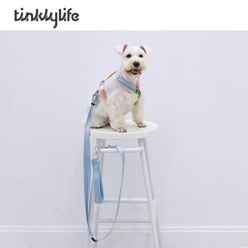Tinklylife 彩虹宠物牵引绳 可调节防爆冲猫猫牵引带狗狗外出用品