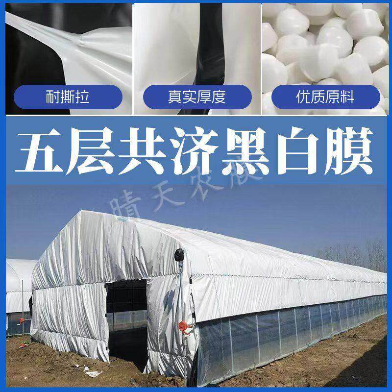 进口黑白膜加厚养殖大棚黑白膜反光隔热膜防晒塑料布食用菌绿白膜
