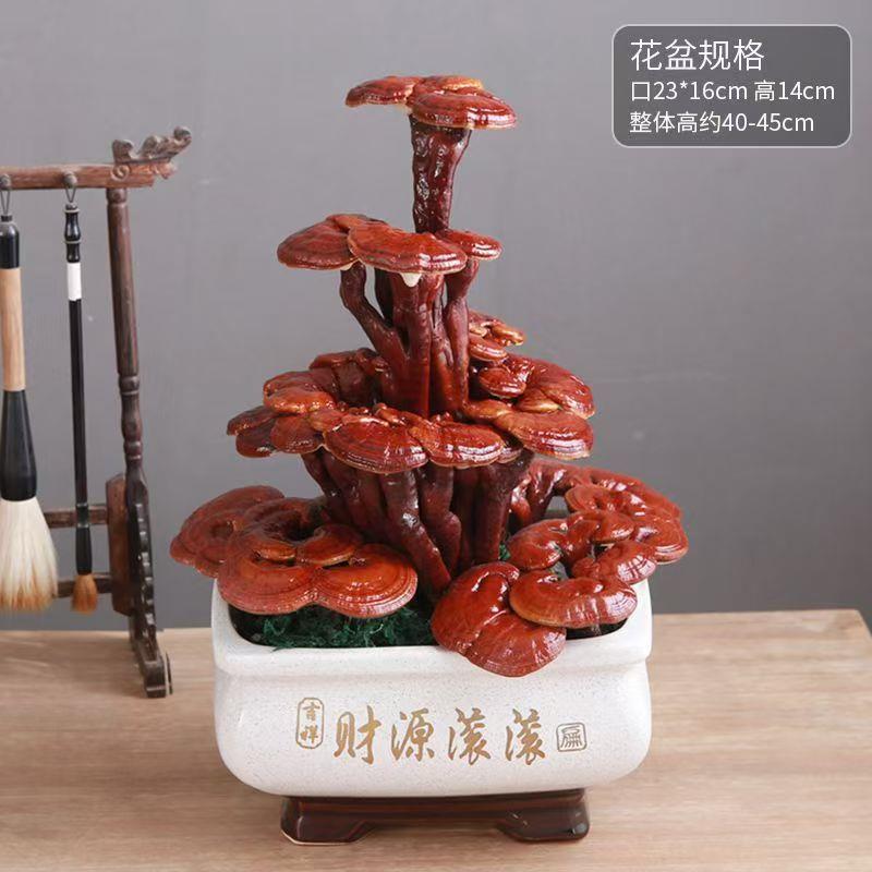 灵芝盆景赤灵芝盆栽办公室天然小盆栽室内四季发财多肉老桩植物图片