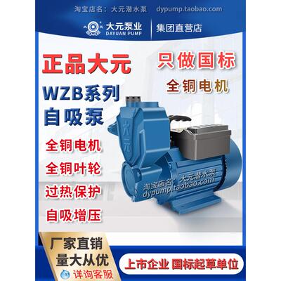 大源Wzb静音自吸泵家用小水井自来水高压增压泵水泵
