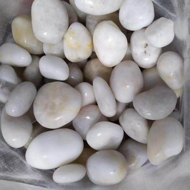 广东高抛纯白白色鹅卵石子石头庭院铺路园艺阳台装饰抛光雨花石