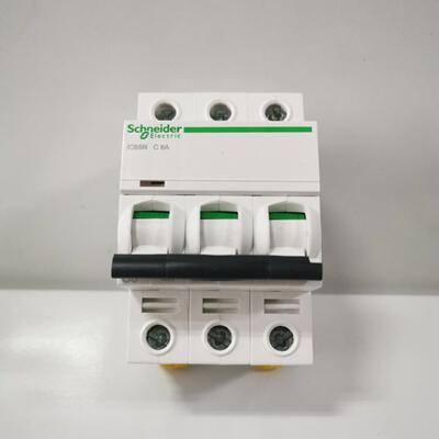 A9F18306 电路保护装置 微型断路器