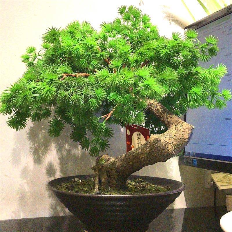 迎客松盆景小树仿真植物摆件家居办公室玄关软装盆栽装饰摆设