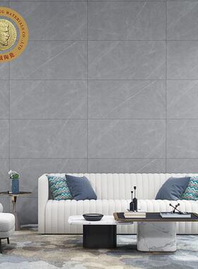 瓷砖地砖客厅板微水泥柔光地砖000x120XD126702现代简约灰6色哑光