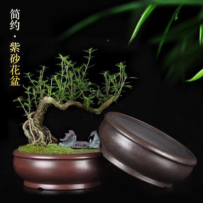 蒲紫砂花盆宜兴兰花盆复古精品多肉菖客假DSW山厅盆榕景盆树老桩