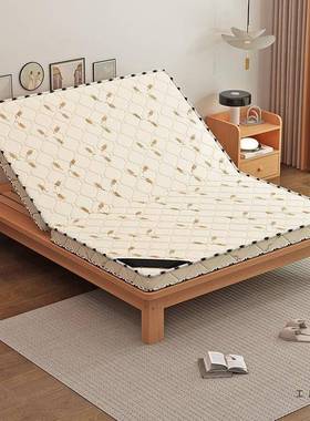 床椰棕垫床偏硬天然垫棕榈儿童可DAR折叠胶乳垫垫护腰护脊