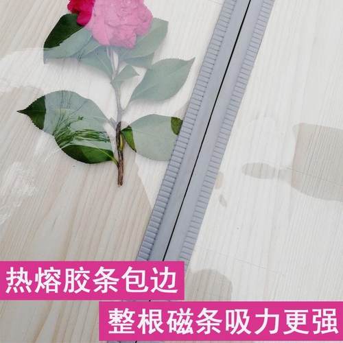 夏天防蚊软门帘新款2025入厂家直供户门大门皮帘子夏透防明挡季风