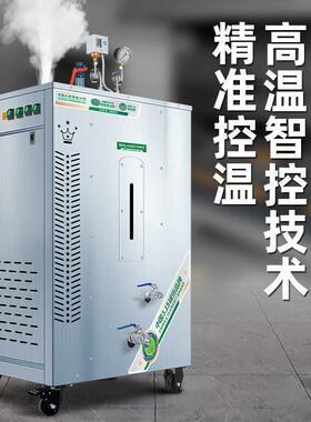 汽MEF发生器酿酒做豆腐气机.5吨锅炉电蒸热工业商用桑0拿熨斗干蒸